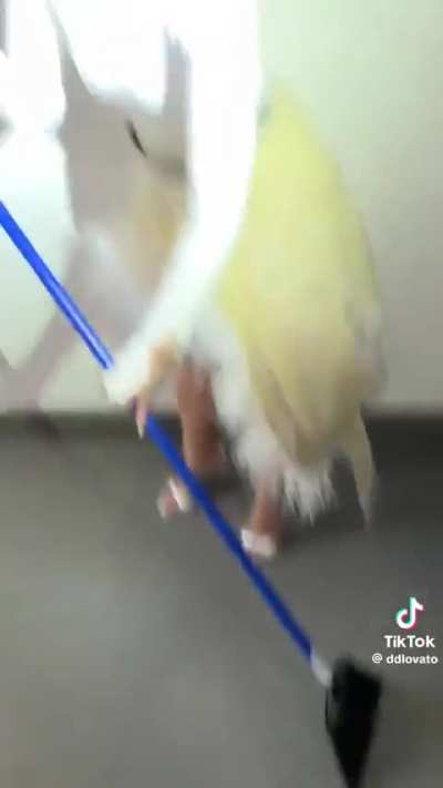 Demi Lovato Uploads To TikTok: “hi AD it's me poot, welcome to my basement!”