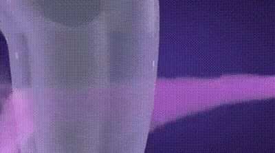 When I hear the term “crotch rocket”