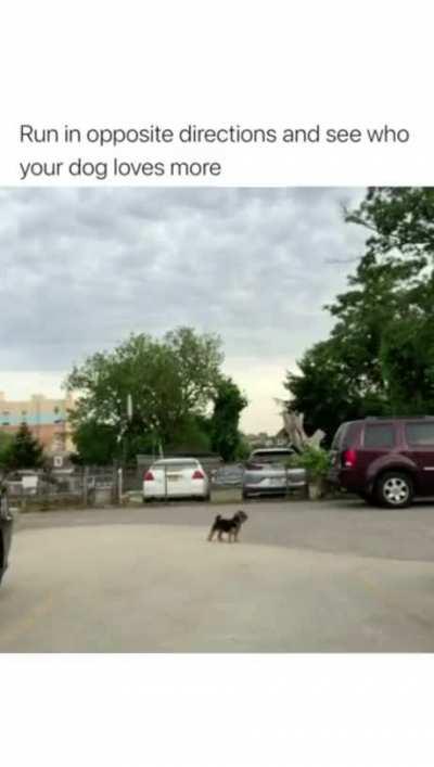 Good boi took the best decision