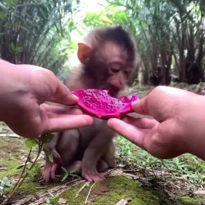 My, what lovely lipstick you have little one