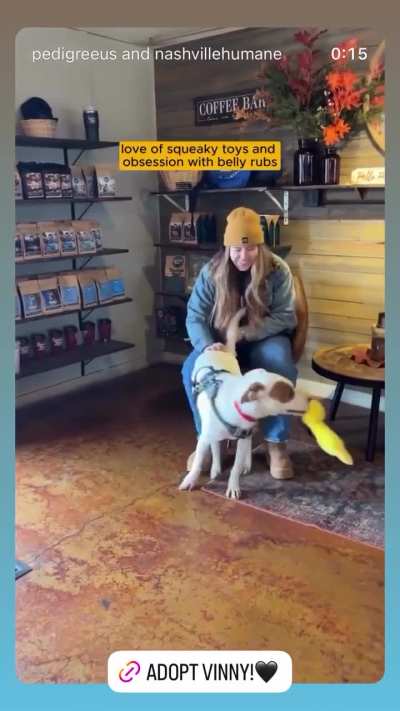 NHA & Pedigree US. November 13th 2025. IG Story