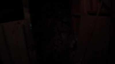 Skyrim Courier - Horror Short