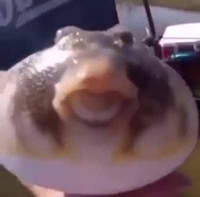 Fuck goin on in miami