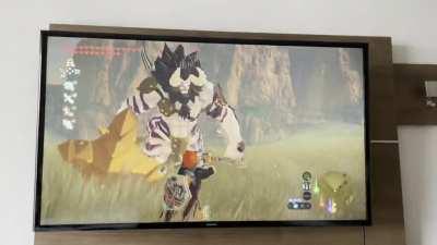 My son’s (8) preferred method of Lynel killing - simple yet effective