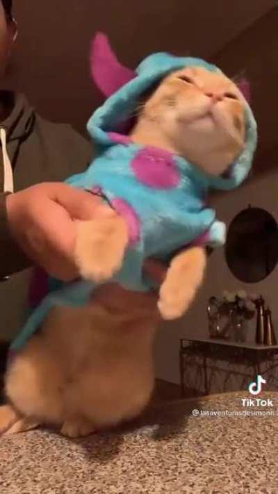 I've quit smoking yesterday and just been watching cat videos the whole day today which kinda made my day easier to deal with the cravings, i hope y'all enjoy this :)