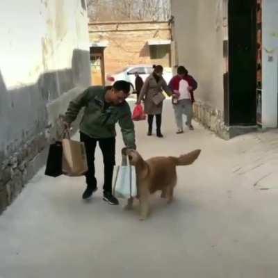 Cute Dog Friend's Grocery Help