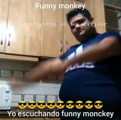Funny monkey😎😳👌🏼
