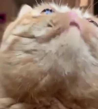 Me, when the oven timer goes off