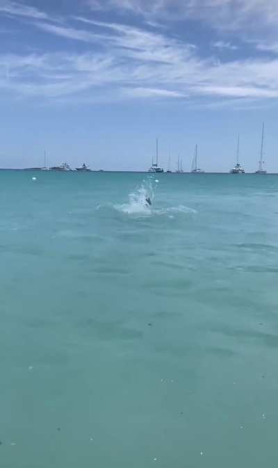 Ella bikini bathing 😍