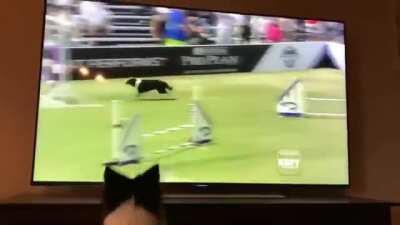 Watching herself win