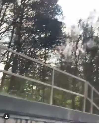 Soze (9thstreet) pulled over & arrested by armed police