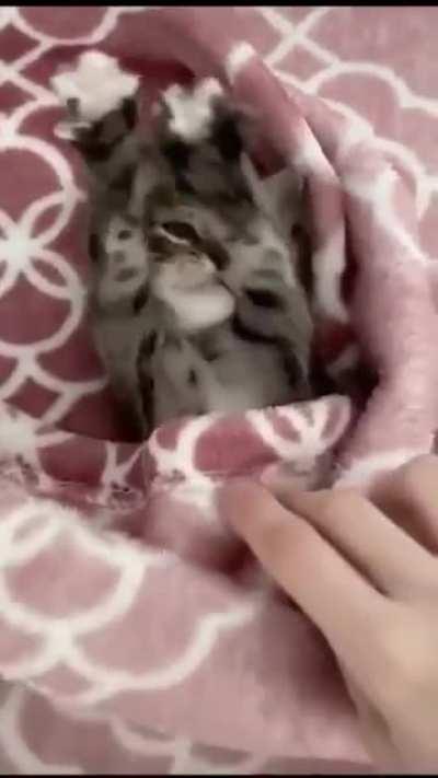 Who is under the blankie ?