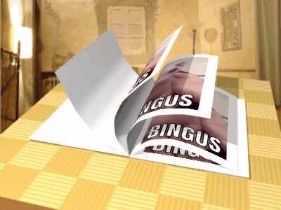 BIBBLE OF BINGUSSSSSSSS