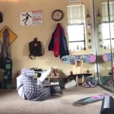 WTF she think was gonna happen!?