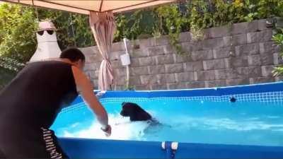 It's a lab. They're part seal…