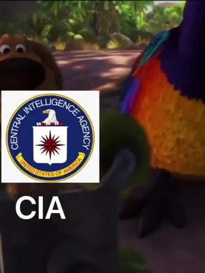 I don't want you here, or you...