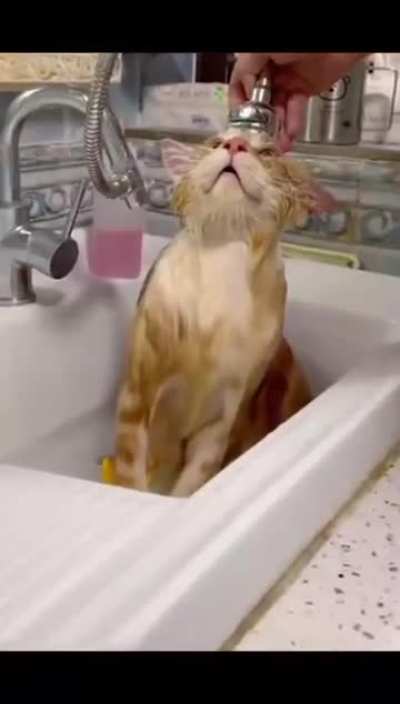 How to work with C@ without stress