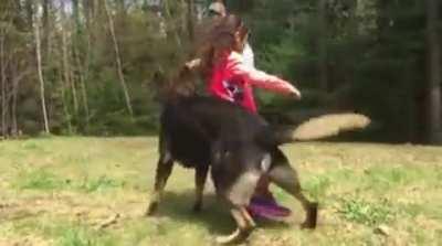 Dog trained to protect his sister (x-post from /r/awww)