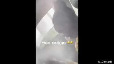 Going for a full wash