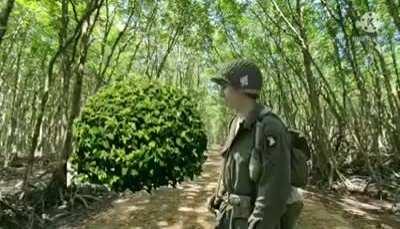 手扶林女😂🥰🥰