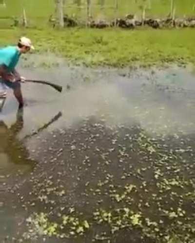 He left his brain at home