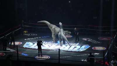 Question about the Jurassic Fight Night promotion, are these guys shooting?? or working?!?! Is this the territory that Luchasaurus lit up before jumping to AEW? Wonder if they have a PWTees shop. Don't let Vince see this, AEW desperately needs more big me