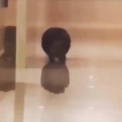 El Cristian corriendo con su play 5 robada después del saqueo