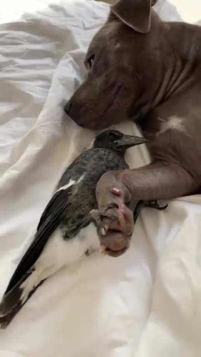 It’s a special friendship