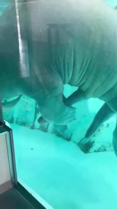 Didn’t know they could do that