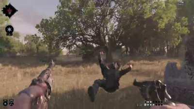 I guess it's my fault I missed the first bullet