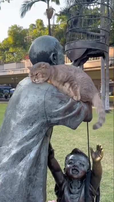 Everybody needs a hug ❤️