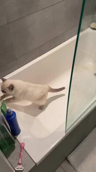 3am adventure into the bathtub gone wrong