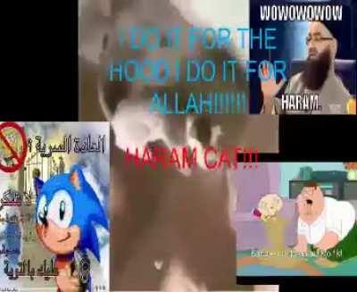 Its my first one so please be gentle