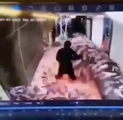 My rentoid is flooding my property with pets(fishes), gonna send my landsharks to eat em all!