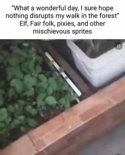 Literally every single time