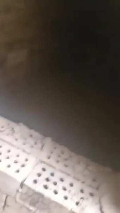 China has just built hundreds of huge brick crematoriums by one of their large concentration camps. Will the world just watch this happen?