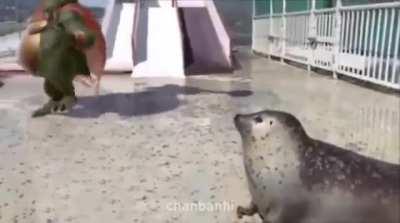 You always need to dodge those shots caw caw.