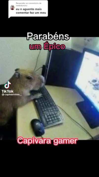 capivara