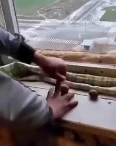 Russian way of cracking walnuts