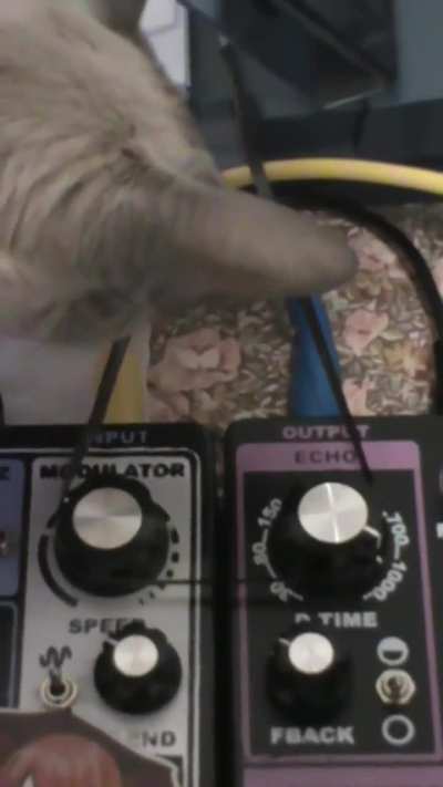 there is no stereo echo dream 3 so i made my own with the 1 + 2