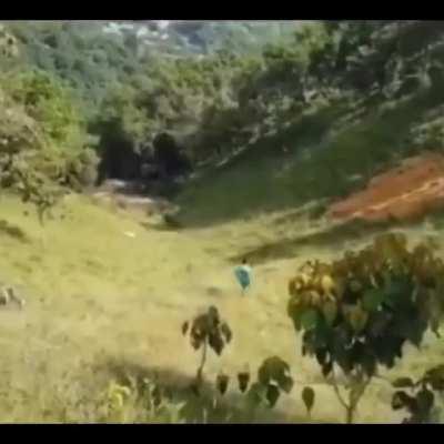 hmb while i ride inside a tire down a very steep hill