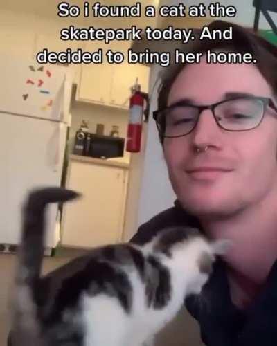 Finding a new best Friend