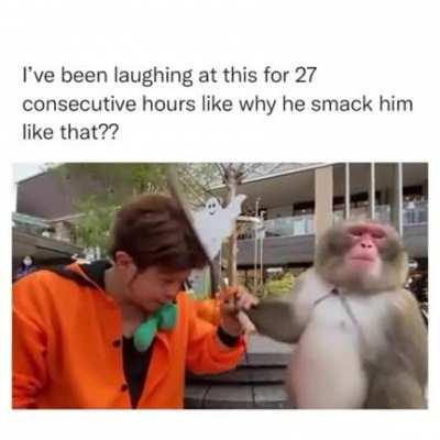 When you get too cocky around the monkeys and they set you straight