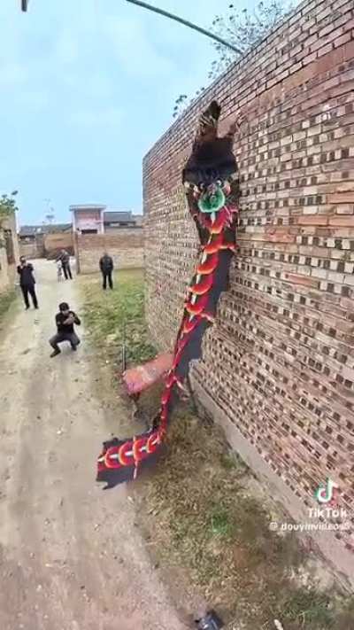 Seniors what type of Mythical beast is this