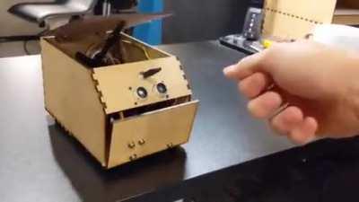 A mildy infuriating box