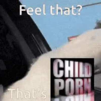 cat car window feel that thats text