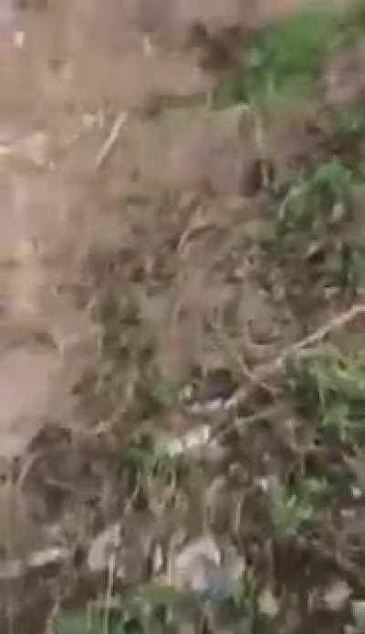 Making tiktok near tracks