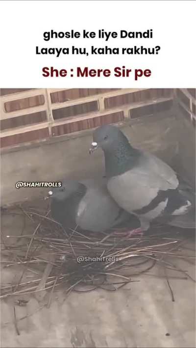 Or phir puchega maine kiya kya😏