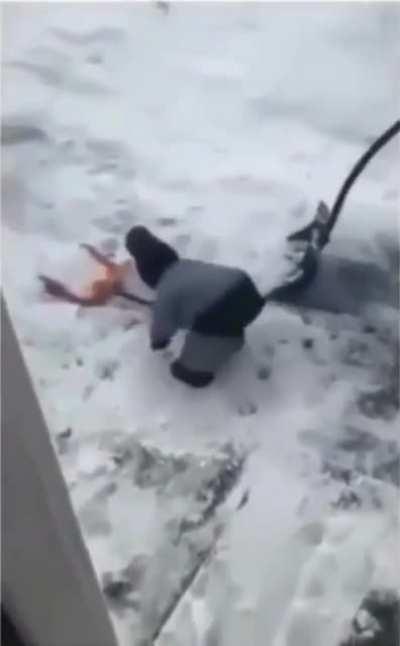 Toddler.exe has stopped working