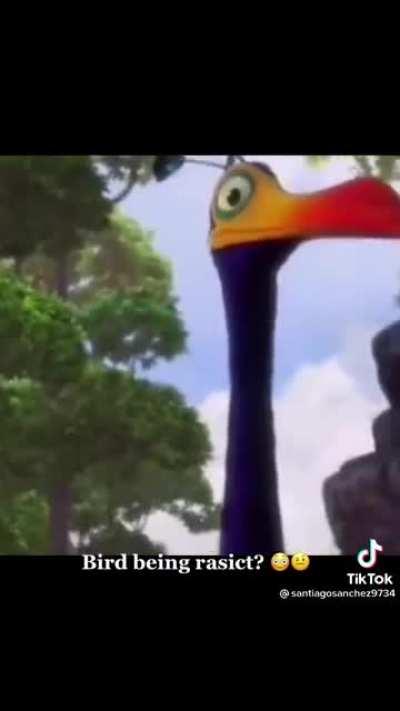Bird being racist